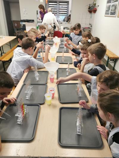ZIMOWE WARSZTATY KULTURALNE
