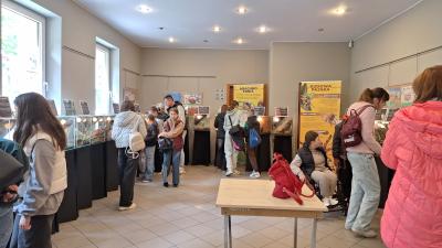 WYSTAWA PAJĄKÓW W KINIE 