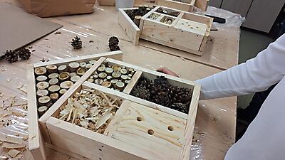 WARSZTATY STOLARSKIE - HOTELIK DLLA OWADÓW